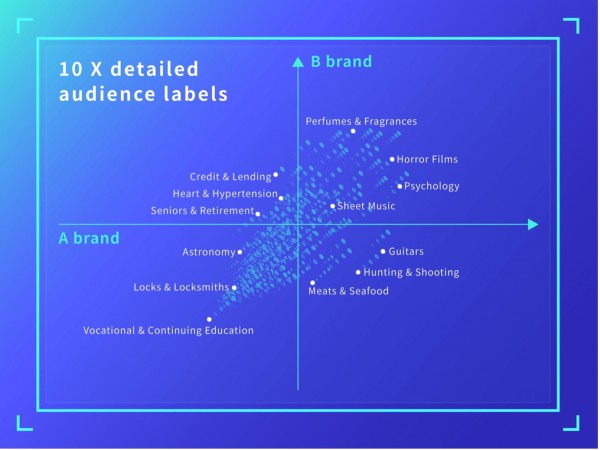 Bridgewell's 10x audience label system